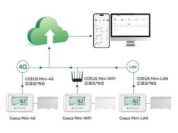 coeus-mini-real-time-temperature-humidity-data-logger.jpg