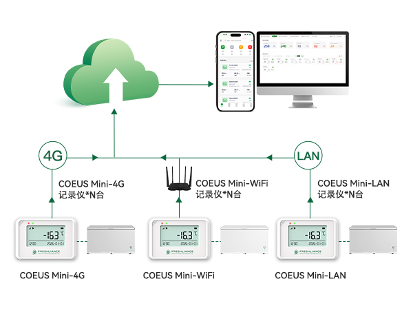 COEUS Mini 实时温湿度记录仪